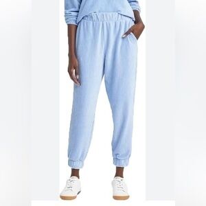 NWT A New Day velour soft stretch ribbed jogger pant periwinkle small